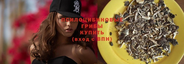 apvp Белокуриха