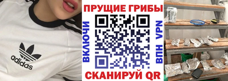 хочу   Великий Устюг  гидра ТОР  Псилоцибиновые грибы Magic Shrooms 